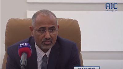 الرئيس الزُبيدي: موقفنا الداعم لحماية الملاحة جزء من أمننا القومي والغذائي