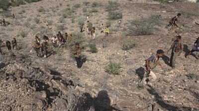 بعملية نوعية.. القوات الجنوبية تقتحم أحد أكبر معاقل تنظيم القاعدة في أبين (تقرير)