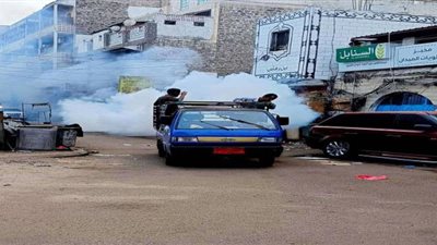 صحة البيئة بمديرية صيرة تنفذ حملات رش ضبابي مكثفة لمكافحة ناقلات الأمراض
