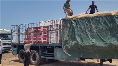 لجنة وزارة الزراعة تشدد على المستوردين الالتزام باللوائح الوطنية