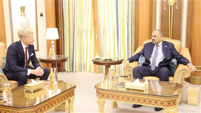 محلية وإقليمية.. تحركات ومباحثات مكثفة للرئيس الزُبيدي لتطبيع الأوضاع المعيشية 