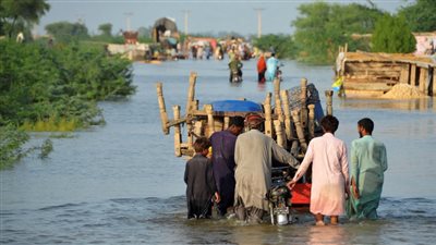 باكستان.. تدمير عشرات المنازل والمحاصيل الزراعية جراء الفيضانات