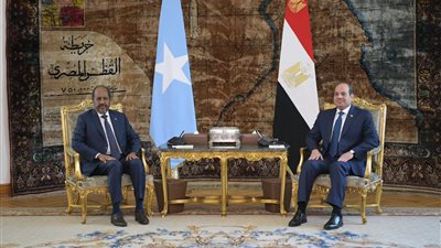 مصر توقع مع الصومال بروتوكول تعاون عسكري وتؤكد دعم سيادته