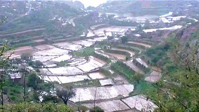 الأرصاد: أمطار رعدية غزيرة ورياح شديدة ستتأثر بها بلادنا خلال الـ 72 ساعة القادمة