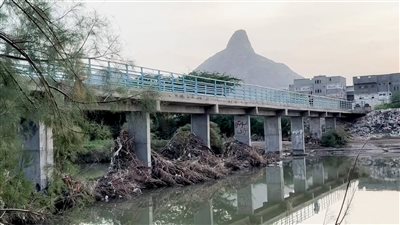 مناشدات لقيادة شبوة بإغاثة مناطق بيحان المتضررة من السيول