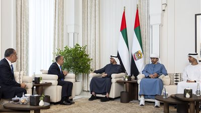 حرب غزة على طاولة مباحثات الشيخ محمد بن زايد ووزير الخارجية المصري