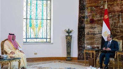 السيسي يبحث مع وزير الداخلية السعودي التعاون الأمني ومستجدات المنطقة