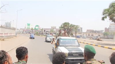 حملة أمنية لمنع حمل السلاح غير المرخص بمديرية الشيخ عثمان