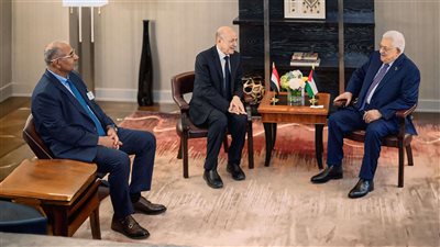 الرئيس الزُبيدي يلتقي الرئيس الفلسطيني محمود عباس