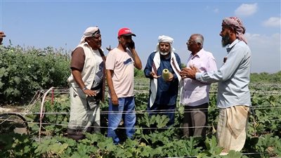 جمعية سناح الزراعية بالضالع.. نافذة أمل لمستقبل زراعي واعد 