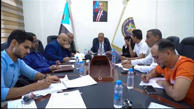 مركز البحوث ودعم القرار يؤكد على أهمية الدور الخارجي في دعم قضية الجنوب