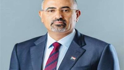 الرئيس الزُبيدي يصدر قرارا باستحداث منسقية جامعة المهرة 