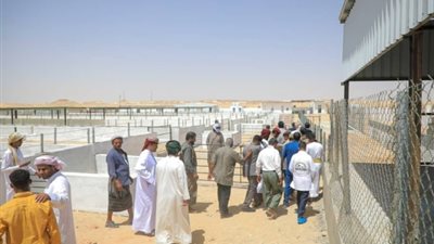 افتتاح المحجر البيطري لتصدير الحيوانات الحية بمديرية شحن بالمهرة