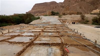 وكيل محافظة حضرموت بارزيق يتفقد مشروع إعادة تأهيل طريق حريضة عمد