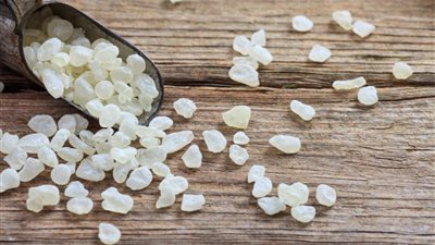 تعرف على المستكة.. كنز طبيعي بين العلاج والطهي والصناعة