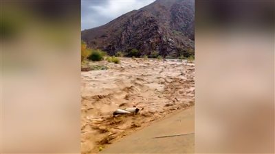 غرق مواطن ونجله في سيول وادي بلحارث بعسيلان في محافظة شبوة 