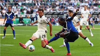 الدوري الألماني: هامبورغ يتعادل في عودته للأضواء بعد غياب 7 سنوات