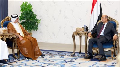 رئيس الوزراء يبحث مع السفير الإماراتي مستجدات الأوضاع والمشاريع التنموية 