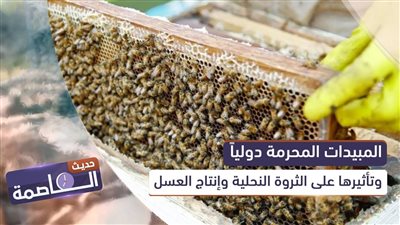 حديث العاصمة | المبيدات المحرمة دولياً وتأثيرها على الثروة النحلية وإنتاج العسل
