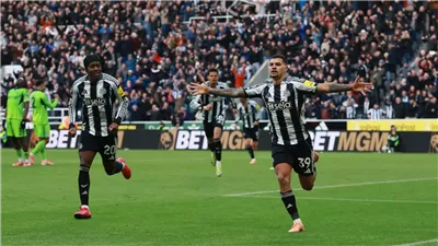 الدوري الإنجليزي..  فوز نيوكاسل على فولهام