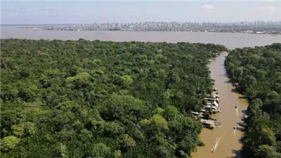 في الأمازون.. علماء يحاولون إثبات صلة بين تعدين الذهب وإعاقات بين الأطفال