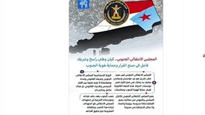 حملة إلكترونية واسعة لدعم سلطة القضاء في تنظيم حرية الرأي