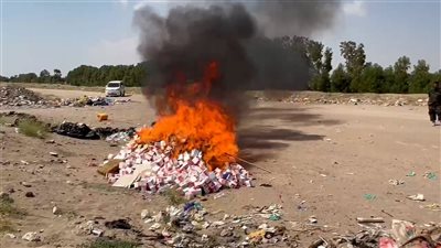 قوات الحزام الأمني بعدن تتلف كمية كبيرة من الحبوب المخدرة