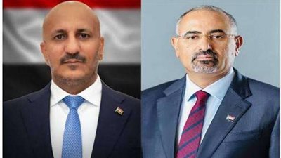 الرئيس الزُبيدي يتلقى اتصالًا هاتفيًا من الفريق طارق صالح